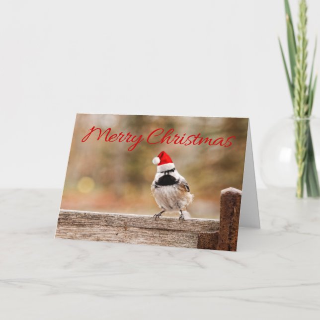 Cartão De Festividades Merry Christmas Santa Chickadee Card (Frente)