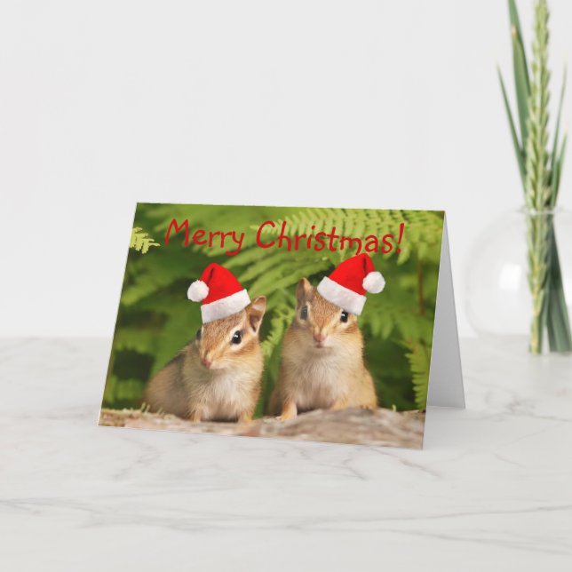Cartão De Festividades Merry Christmas! Santa Chipmunks Card (Frente)