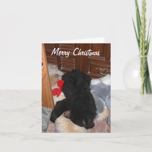 Cartão De Festividades Merry Christmas - Shenandoah Bright (Frente)