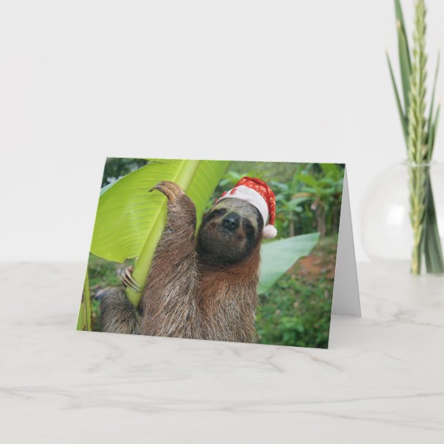 Cartão De Festividades Merry Christmas Sloth (Frente)