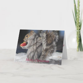Cartão De Festividades Merry Christmas Squirrel  Apple Greeting Card