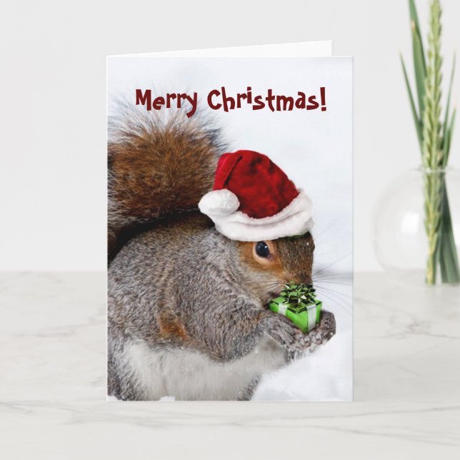 Cartão De Festividades Merry Christmas Squirrel card (Frente)