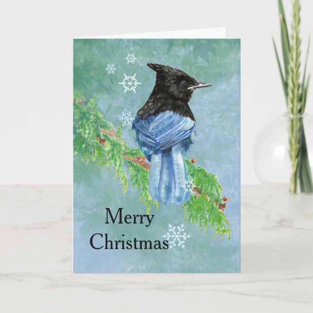 Cartão De Festividades Merry Christmas Stellar Jay Bird Scripture Art (Frente)