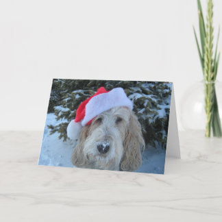 Cartão De Festividades Merry GBGV Christmas