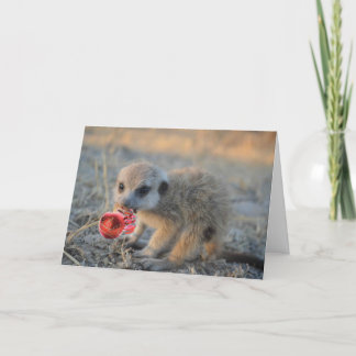 Cartão De Festividades Merry Little Meerkat Christmas - Greeting Card