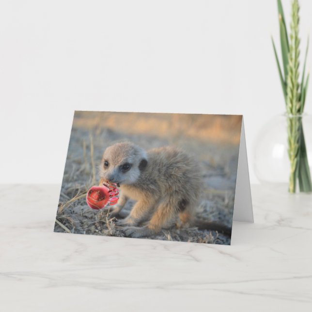 Cartão De Festividades Merry Little Meerkat Christmas - Greeting Card (Frente)