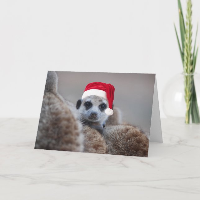 Cartão De Festividades Merry Meerkat Christmas - Seasons greetings 2 (Frente)