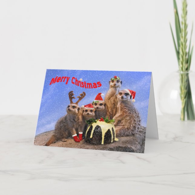 Cartão De Festividades Merry Meerkats Christmas Card (Frente)