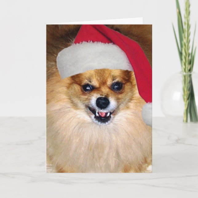 Cartão De Festividades "Merry Woofing Christmas" Pomeranian Santa Card (Frente)