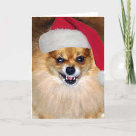 Cartão De Festividades "Merry Woofing Christmas" Pomeranian Santa Card
