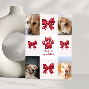 Cartão De Festividades Meu Cachorro é Meu Arco de Valentines 4 Fotos