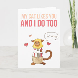 Cartão De Festividades Meu Gato Gosta De Você namorados