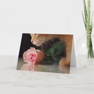 Cartão De Festividades Meu Namorados engraçado