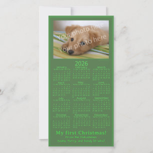 Cartão De Festividades Meu Primeiro Natal Foto de Pet 2026 Calendário Ver