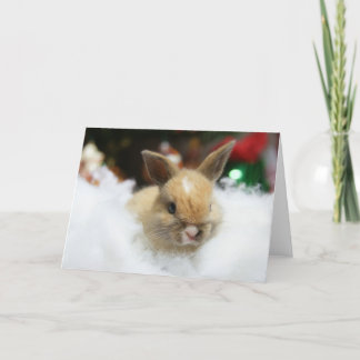 Cartão De Festividades MHRR Honeybadger baby bunny rabbit Christmas card
