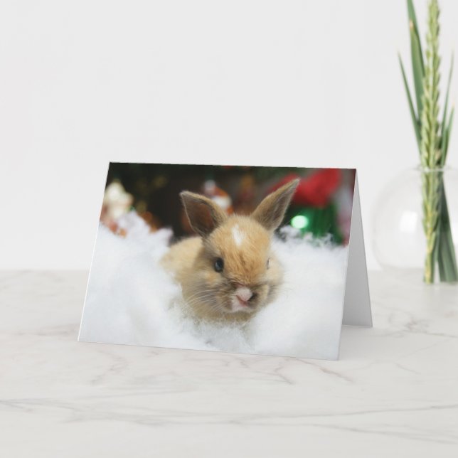 Cartão De Festividades MHRR Honeybadger baby bunny rabbit Christmas card (Frente)