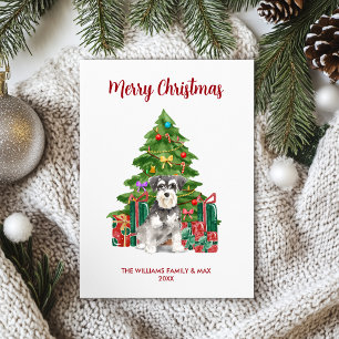 Cartão De Festividades Miniatura Schnauzer Natal
