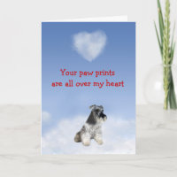 Miniatura Schnauzer Puppy Love Card