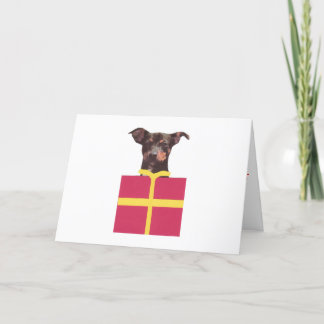 Cartão De Festividades Miniature Pinscher Box