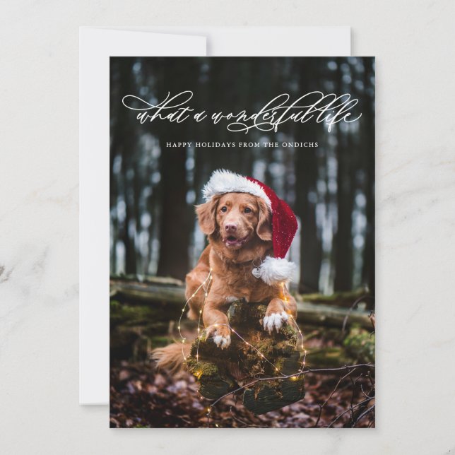 Cartão De Festividades Mínima Maravilha da Caligrafia (Frente)