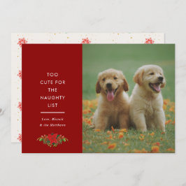 Cartão De Festividades Minimal Cute Saying Pet Christmas Photo