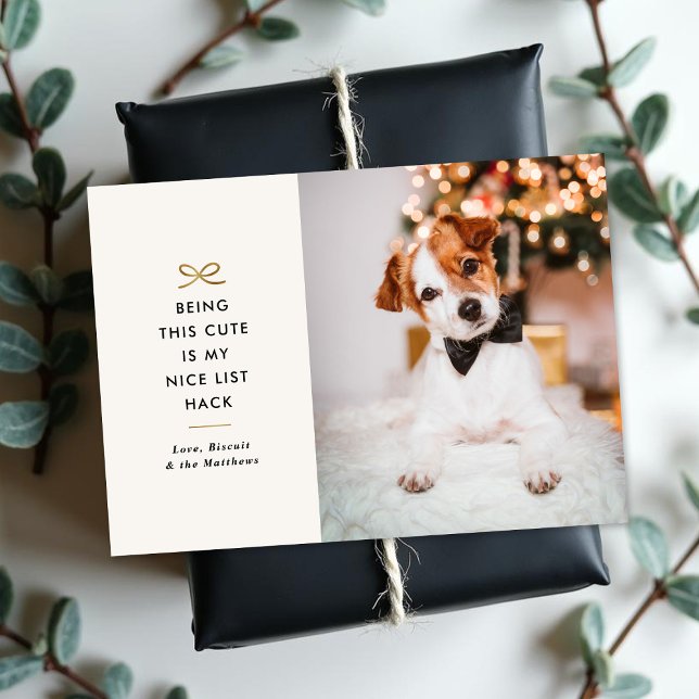 Cartão De Festividades Minimal Gold Bow Cute Saying Pet Christmas Photo (Criador carregado)