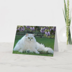Cartão De Festividades Mistletoe the Silver Persian Blank Greeting Card