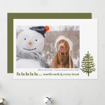 moderna foto engraçada e fofa de Natal de cachorro