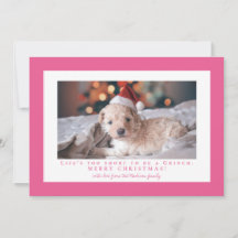 Moldura de foto Rosa Francesa Simples 