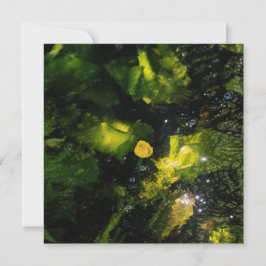Cartão De Festividades Moody Yellow Water Lily in sparkling light