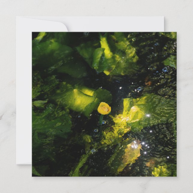 Cartão De Festividades Moody Yellow Water Lily in sparkling light (Frente)