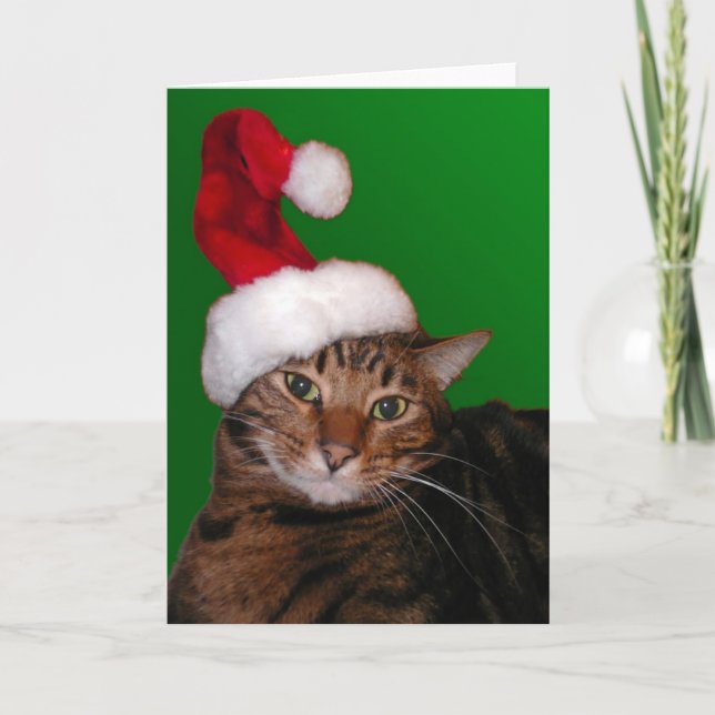 Cartão De Festividades Mooki Santa - blank card (Frente)