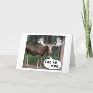 CARTÃO DE FESTIVIDADES MOOSE BRIU SUAS ANTLERS PARA O SEU NATAL