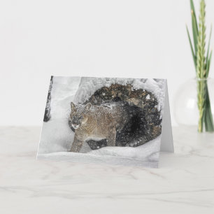 Cartão De Festividades Mountain Lion Holiday Card