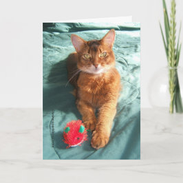 Cartão De Festividades Mousey Catmas Christmas Card