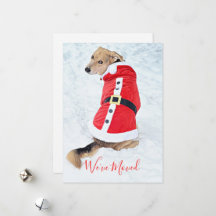 Movendo Cachorro De Natal Bonito Em Papais noeis V