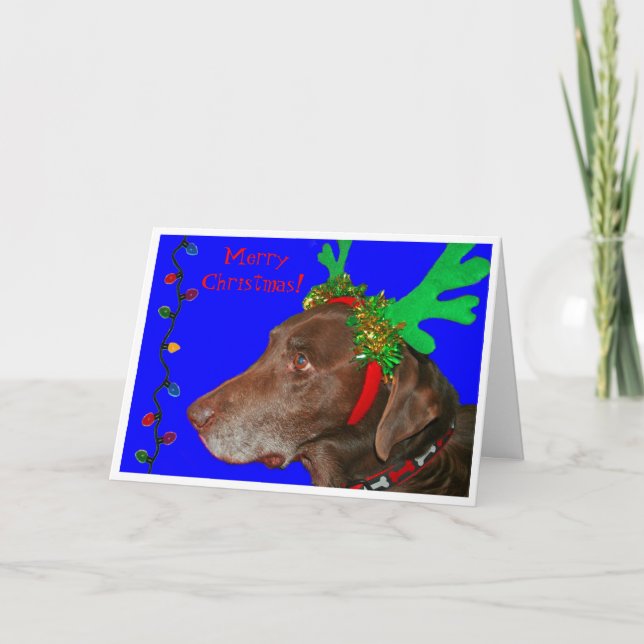 Cartão De Festividades Moxie 20103, Merry Christmas! (Frente)