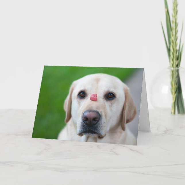 Cartão De Festividades Muito Paciente (Frente)