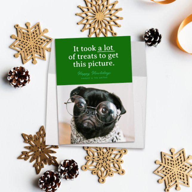 Cartão De Festividades Muitos Presentes Verdes Feliz ComoLidays Pet Diver (Funny pet photo holiday card reads "it took a lot of treats to get this picture" on a block of green)