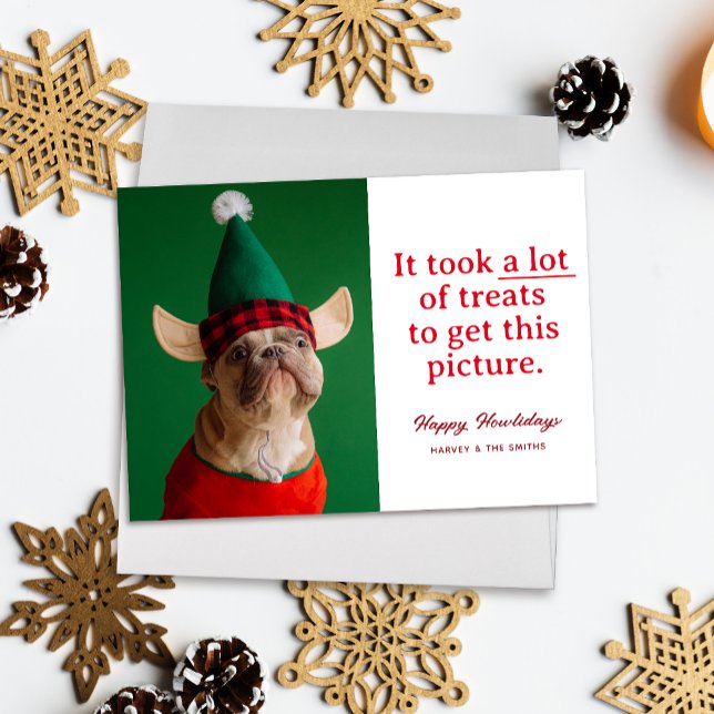 Cartão De Festividades Muitos Tratamentos Felizes Como Feliz Feliz Natal ("It took a lot of treats to get this picture" funny holiday pet photo card, red text on white)