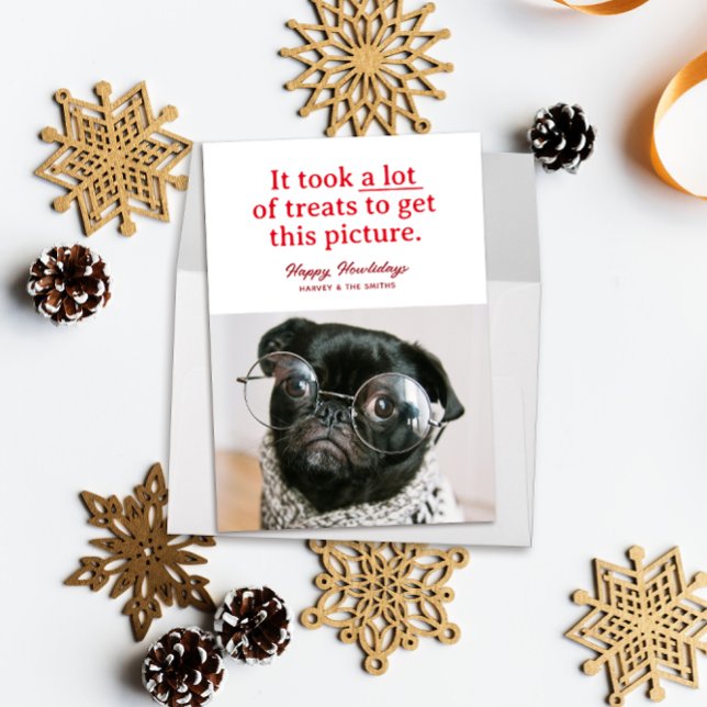 Cartão De Festividades Muitos tratamentos Felizes Howlidays Pet Engraçado (Funny pet photo holiday card red text reads "it took a lot of treats to get this picture")