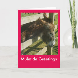 Cartão De Festividades Muletide Greetings