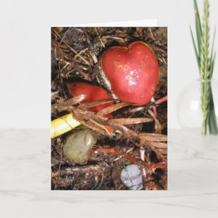 Cartão De Festividades Mushroom Love Too