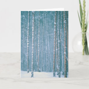 Cartão De Festividades NA, USA, WY. Snowy winter scene among