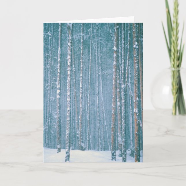 Cartão De Festividades NA, USA, WY. Snowy winter scene among (Frente)