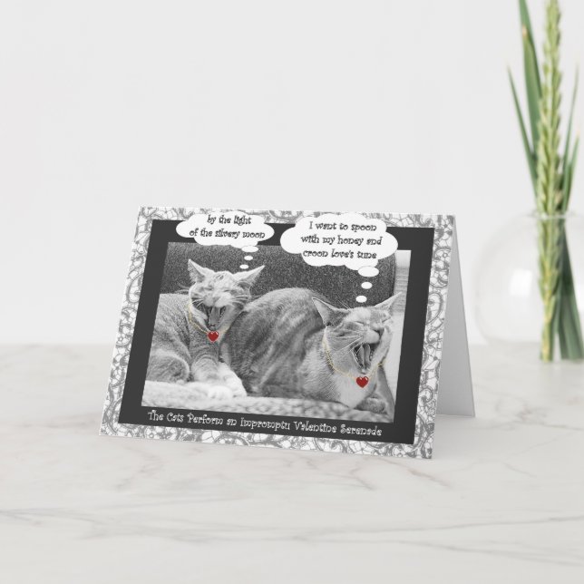 Cartão De Festividades namorados contemporâneo da serenata do gatinho (Frente)