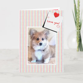 Cartão De Festividades Namorados Cute Fluffy Corgi