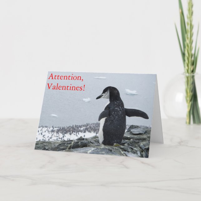 Cartão De Festividades Namorados de atenção! (Frente)