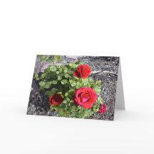 Namorados de marido ou mulher enlutado