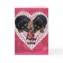 Namorados do amor de filhote de cachorro de